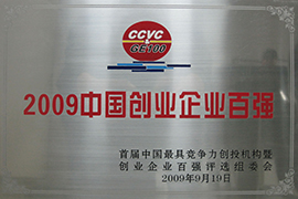 2009中國創業企業百強